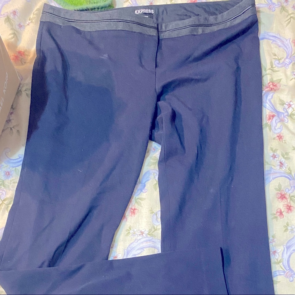 Express dress pants